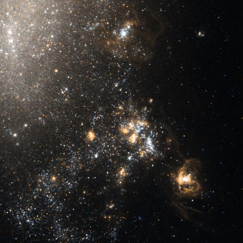 Sixth Prize (Tie), Basic Category: Kathy van Pelt, NGC 4490