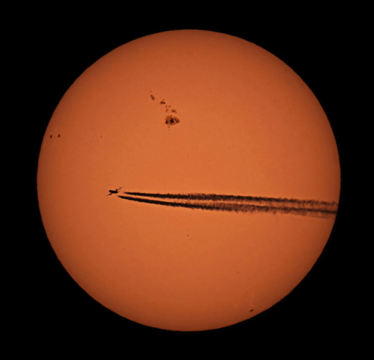Sunny Airlines by Dunja Zupanic