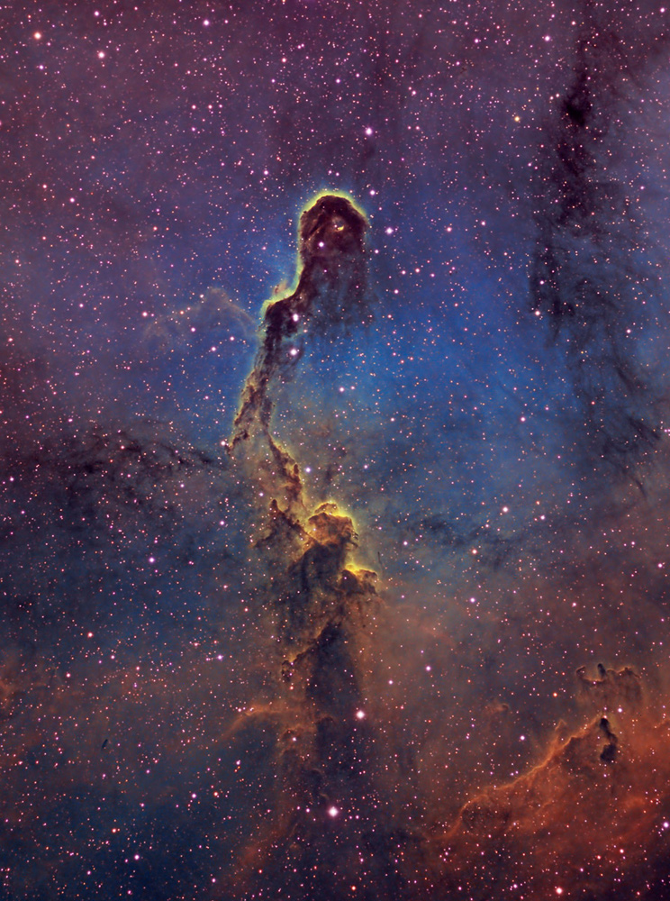 IC 1396 – Elephant-Trunk Nebula by Bill Snyder