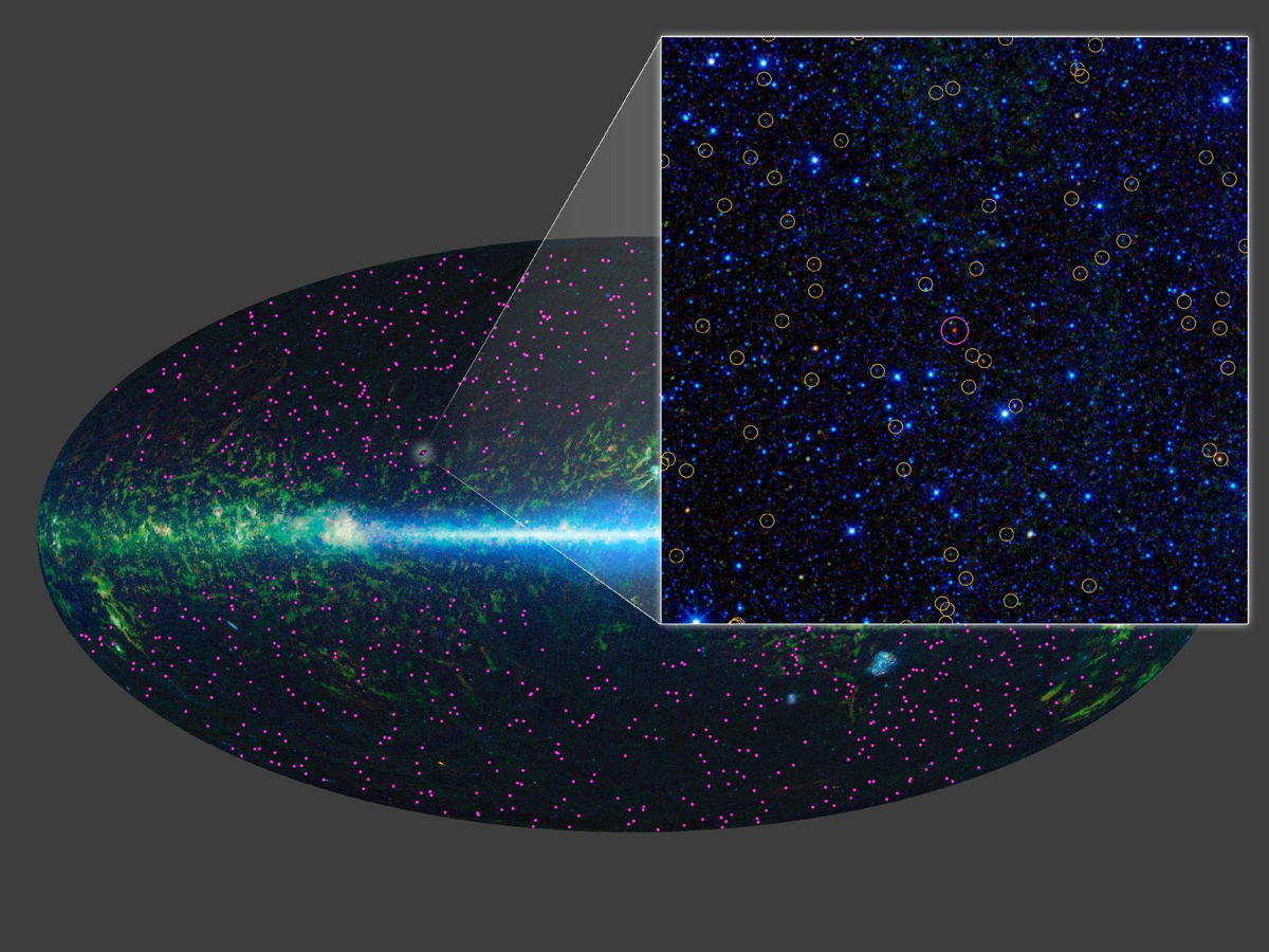 WISE Hot DOGs — Extremely Bright and Extremely Rare