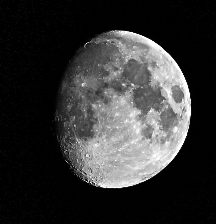 August Moon View: Thomas Cooper
