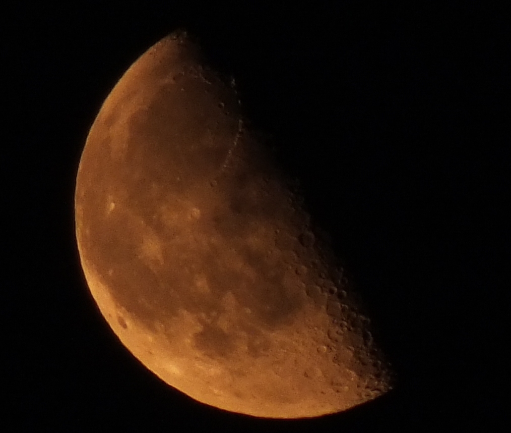 August Moon Pics: Ryan Lorey