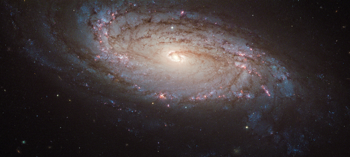 A Quiet, Normal Galaxy