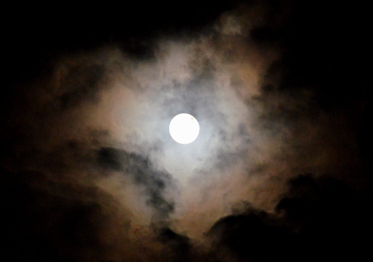 Blue Moon of Osaka, Japan #2