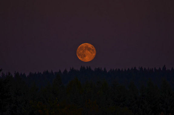 The blue moon over Evergreen Valley in Olympia, Wash., was photographed Aug. 31, 2012 by Mary P. Bowman.