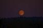 Washington-blue-moon2
