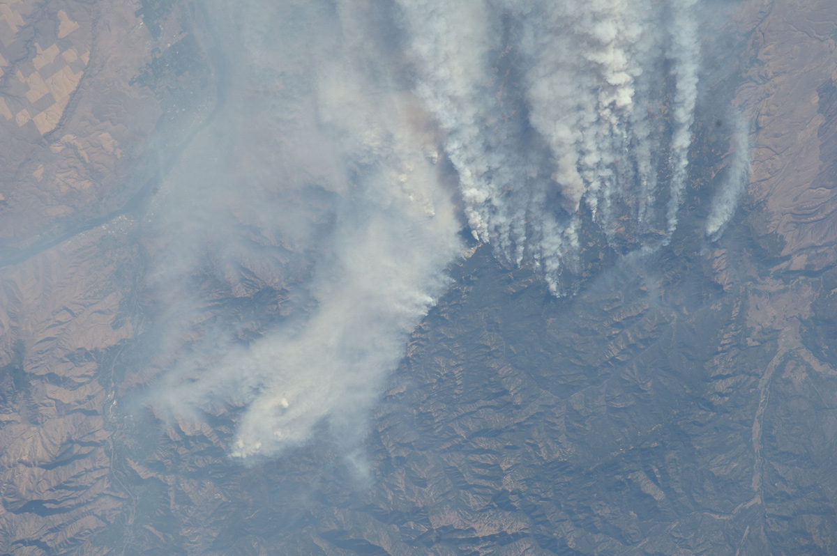 Forest Fire