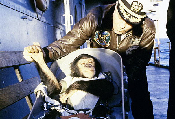 Photos Pioneering Animals In Space
