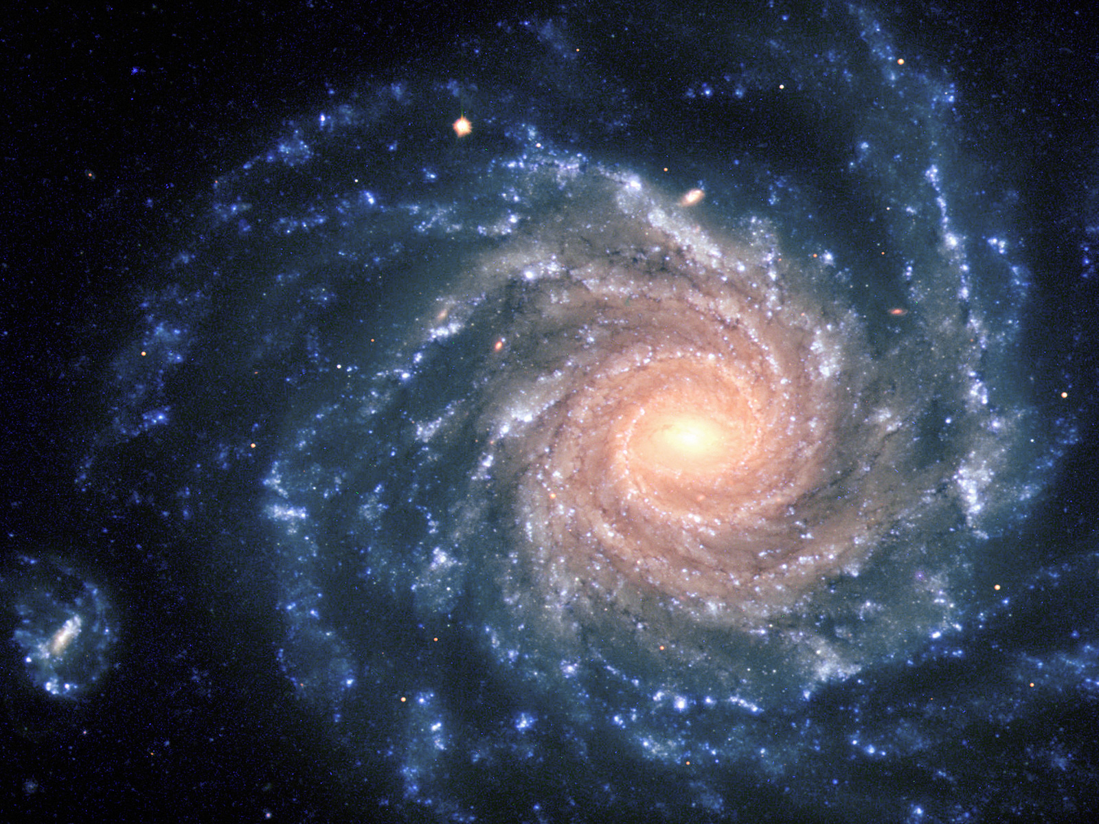Spiral Galaxy NGC 1232