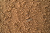 This image from the Mars Hand Lens Imager (MAHLI) camera on NASA's Mars rover Curiosity shows a small bright object on the ground beside the rover at the "Rocknest" site. The object is just below the center of this image. It is about half an inch (1.3 centimeters) long. The rover team has assessed this object as debris from the spacecraft, possibly from the events of landing on Mars. The image was taken during the mission's 65th Martian day, or sol (Oct. 11, 2012).
