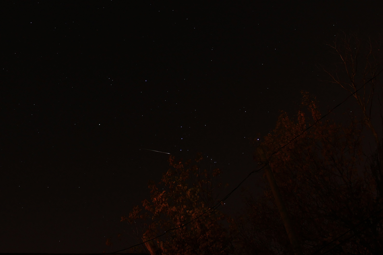 Orionid Meteor Shower 2012: Dale Mayotte