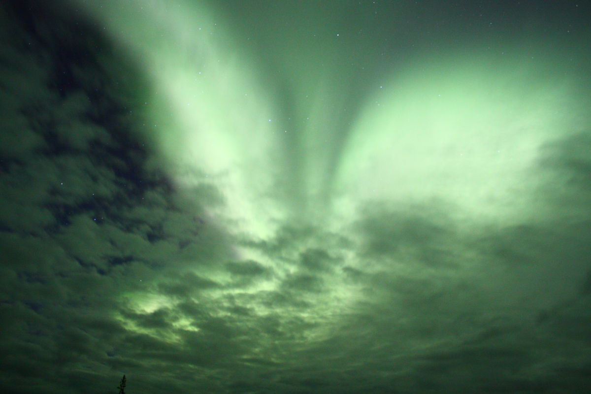 Aurora Angel Over Manitoba