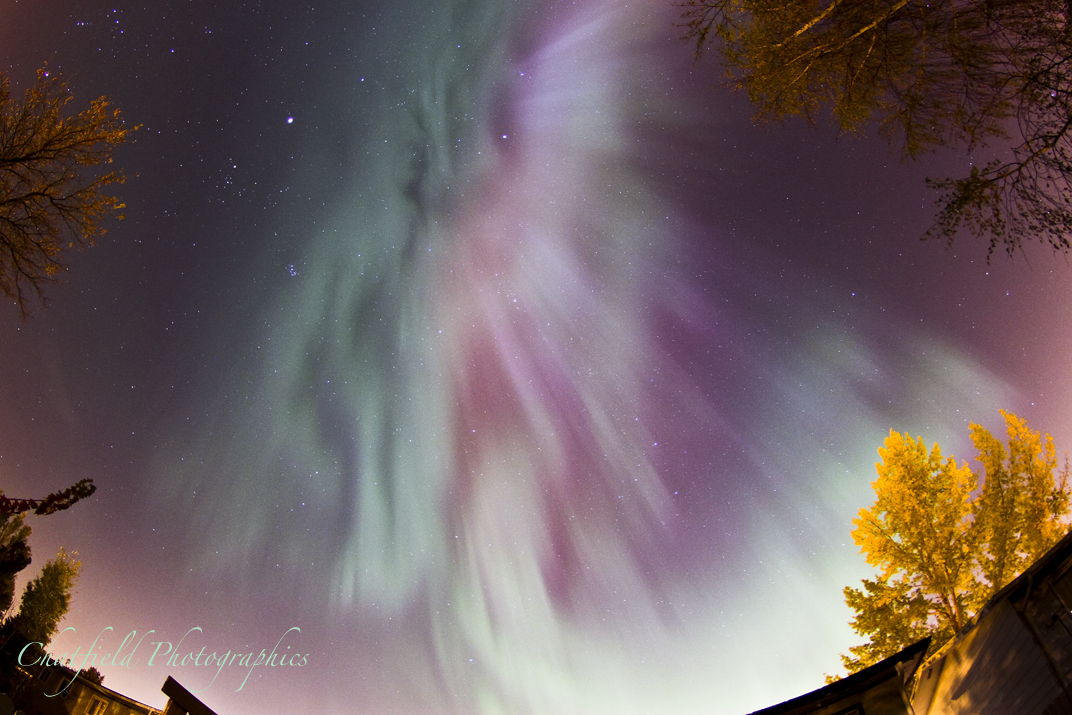 Aurora Outside Saskatoon #2