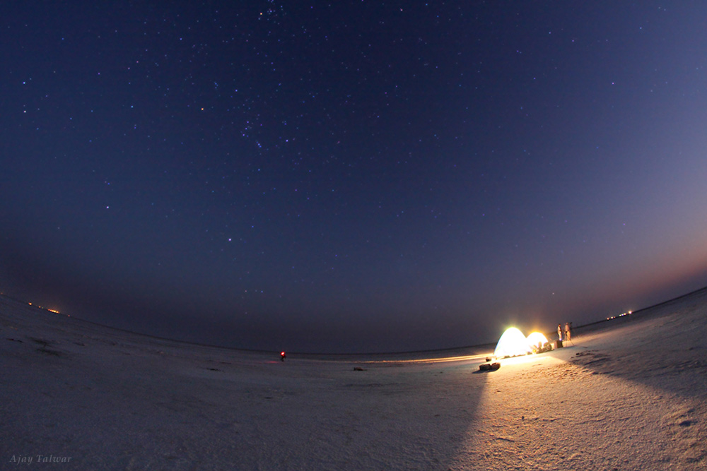 Starry Winter Night Glows Above Thar Desert