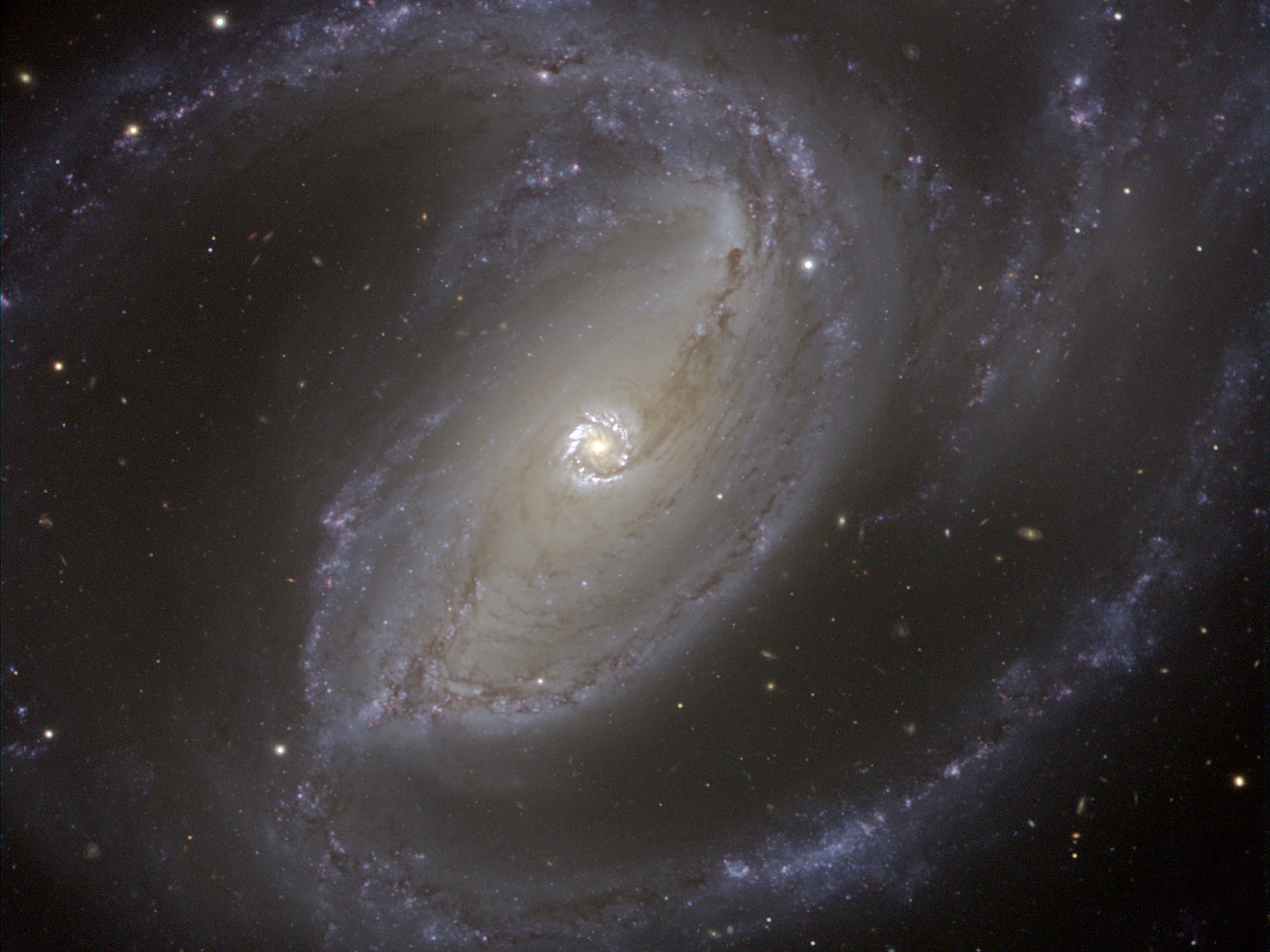 Spiral Galaxy NGC 1097 1600