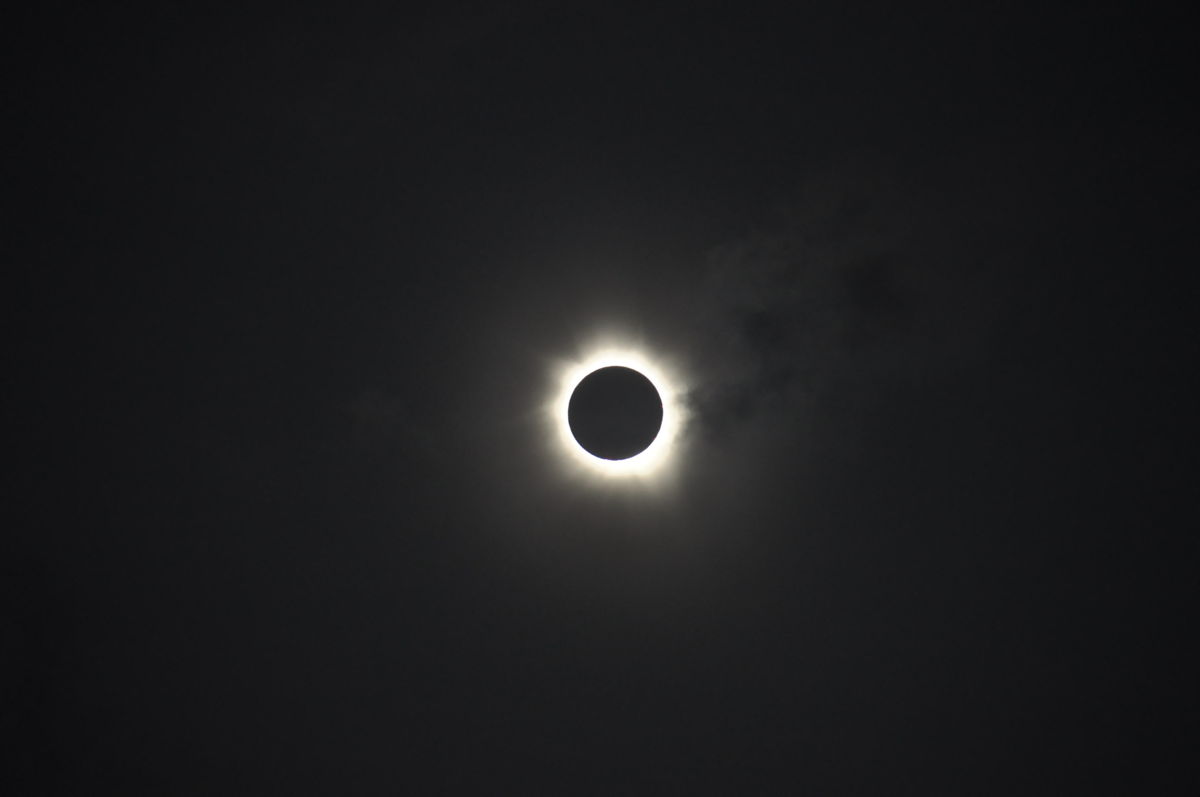 Solar Eclipse Over Palm Cove, Australia