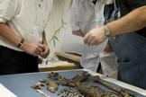 This shows research leader Jens Vellev, Aarhus University examining the remains of Tycho Brahe in 2010.