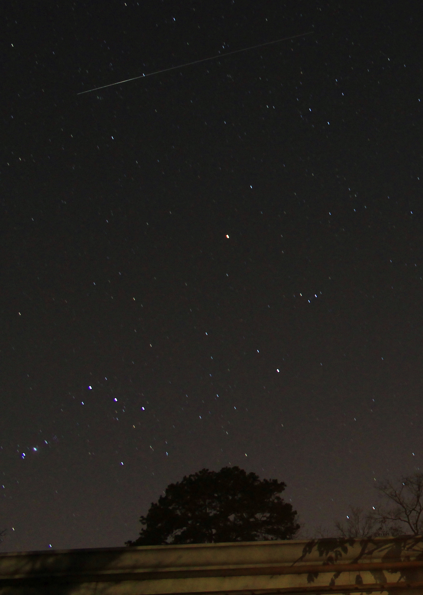 Leonid Meteor Shower 2012: Christopher Lonske