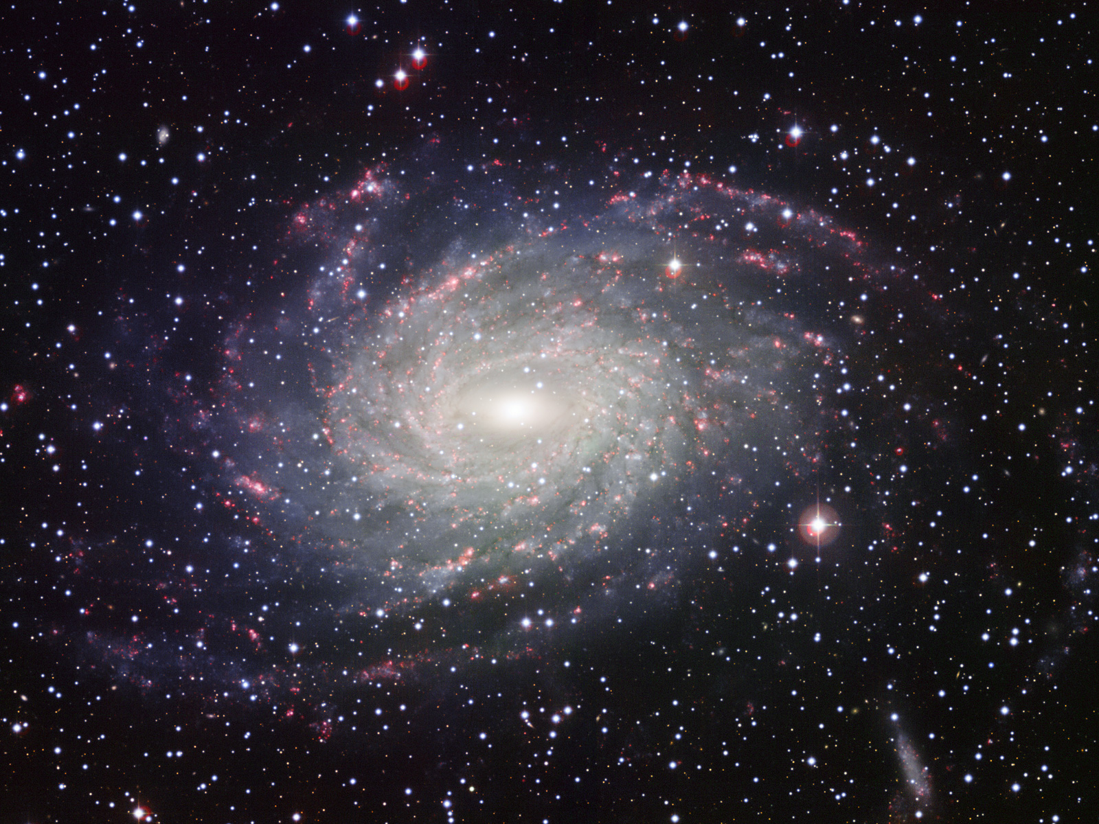 A Milky Way look-alike, NGC 6744