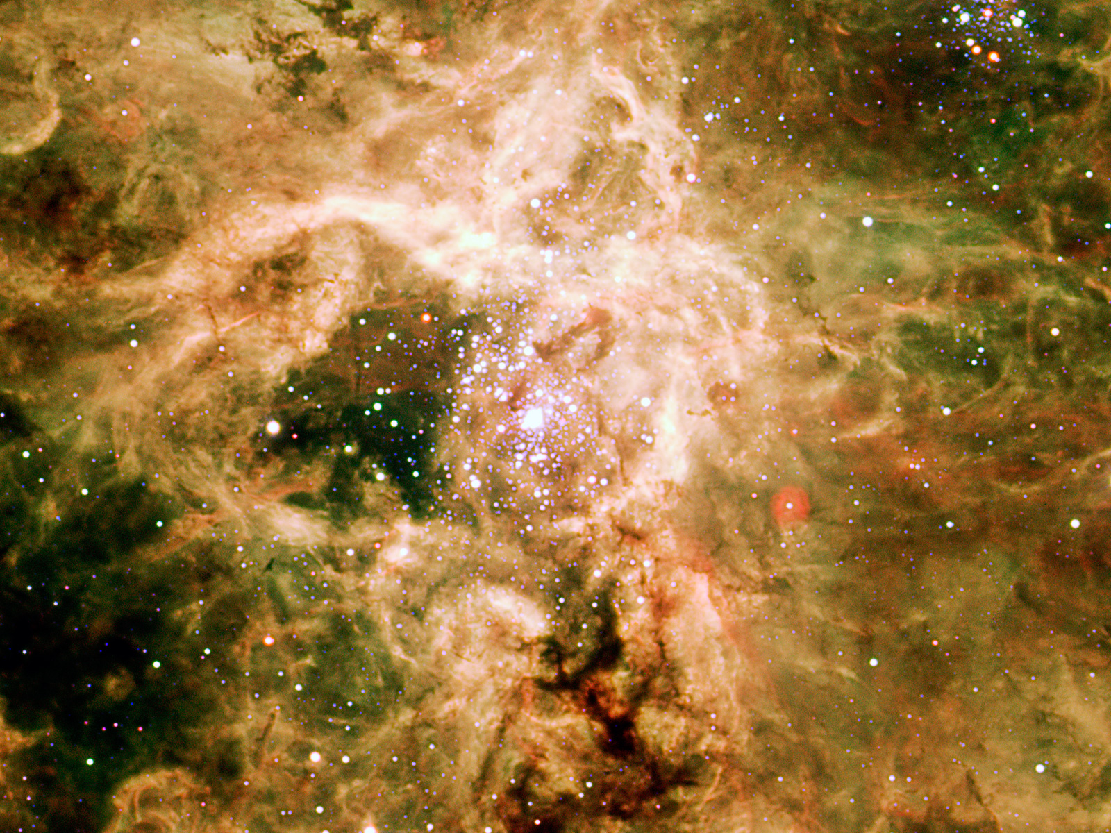 Supernova Remnant NGC 2060