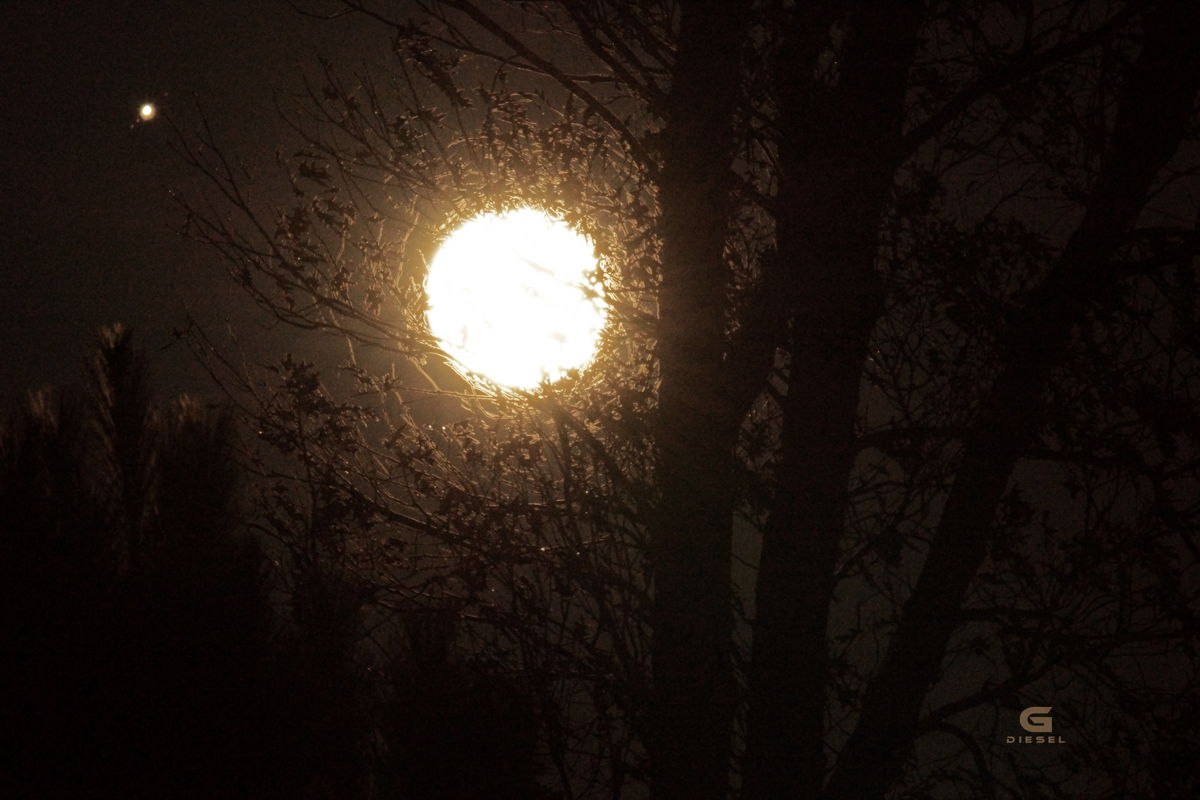 Moon and Jupiter Over North Carolina