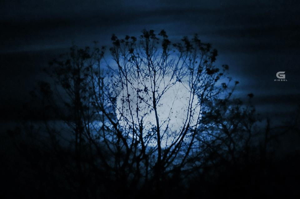The Moon: 10 Surprising Lunar Facts