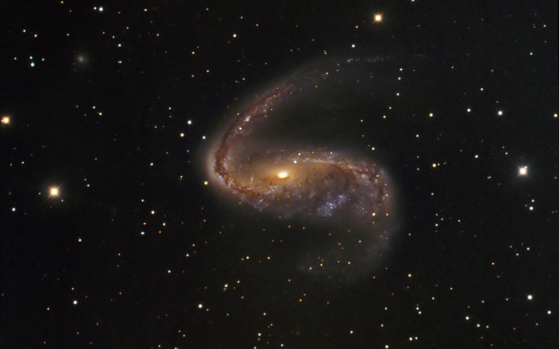 Distorted galaxy NGC 2442 1000