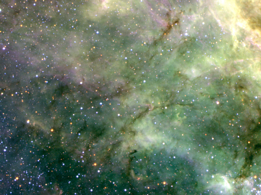 Filaments in the Tarantula Nebula
