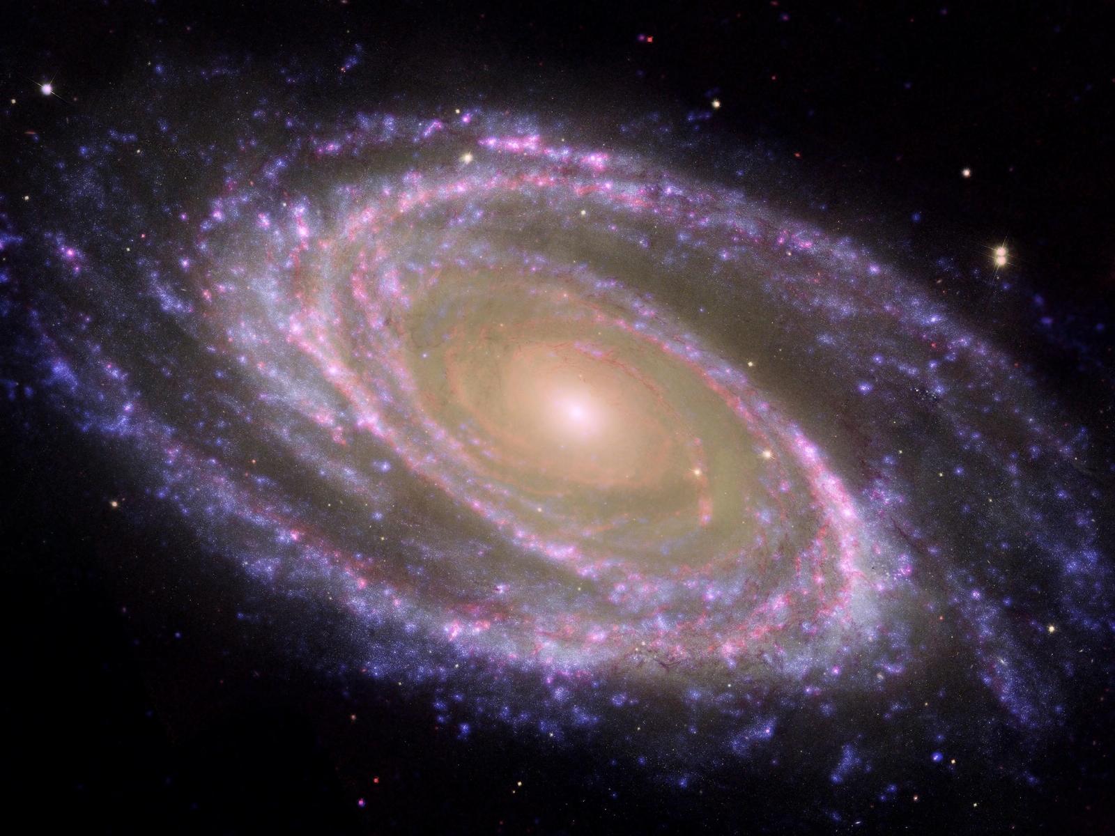 M81 Galaxy is Pretty in Pink