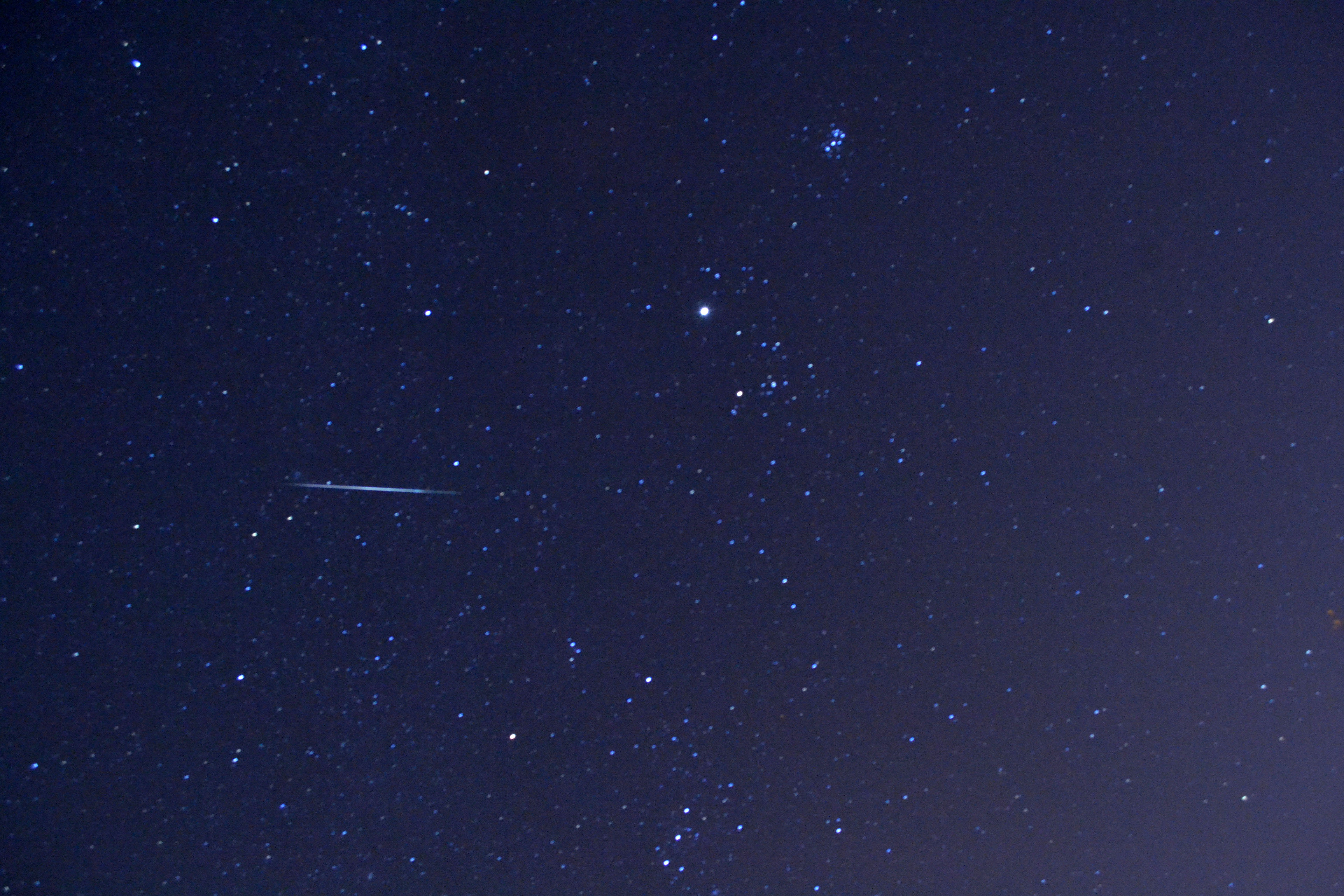 Geminids From a California Backyard