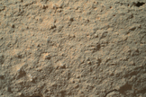 This image shows the full photo from Mars rover Curiosity of a strange transparent feature on a rock, which some have nicknamed a "flower." It appears at lower left. Image taken Dec. 19, 2012.
