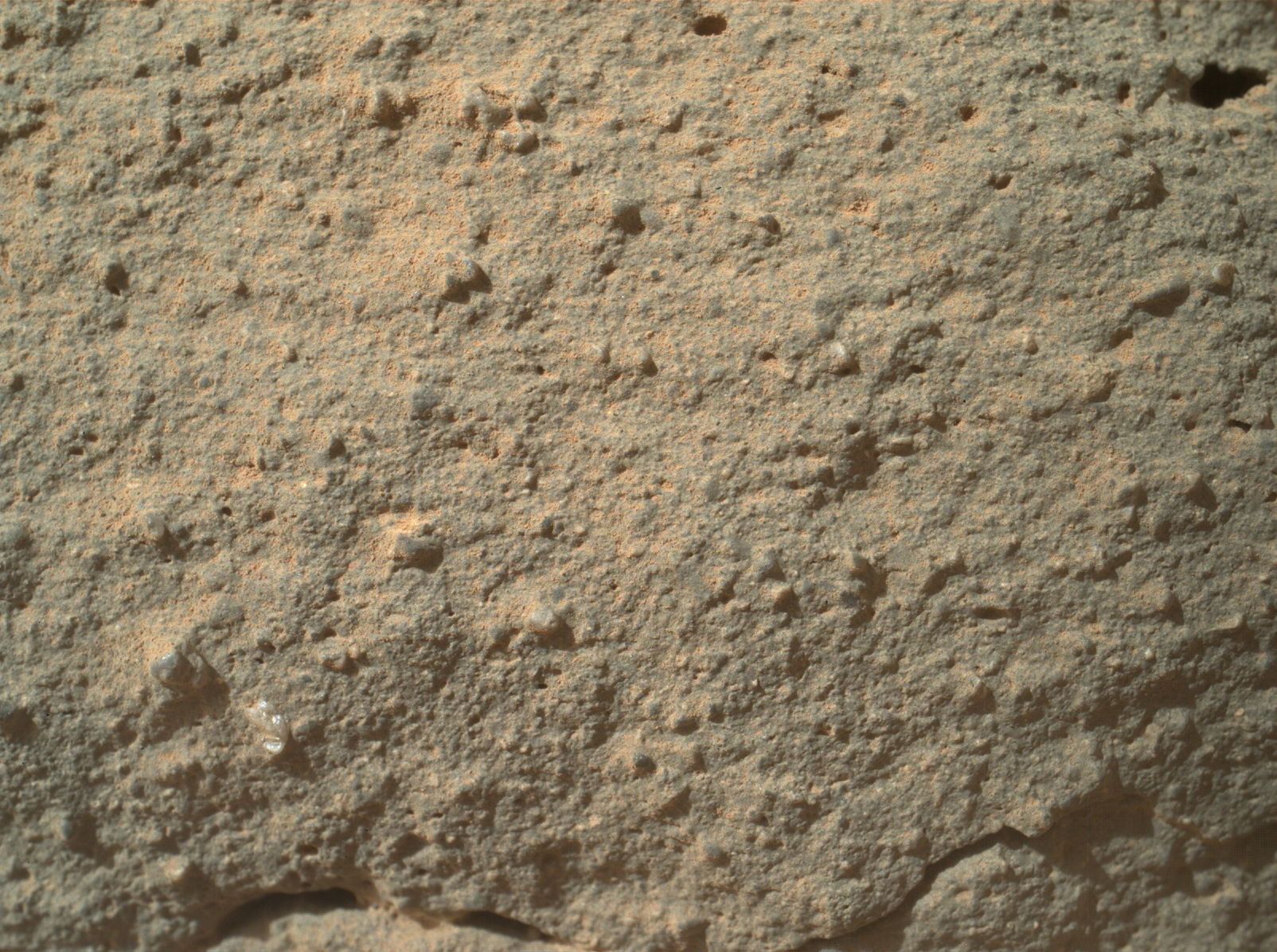 Mars 'Flower' Photo by Curiosity Rover (Wide)
