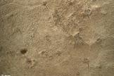 This image from the Mars Hand Lens Imager (MAHLI) on NASA's Mars rover Curiosity shows details of rock texture and color in an area where the rover's Dust Removal Tool (DRT) brushed away dust that was on the rock. Image taken on Jan. 6, 2013.