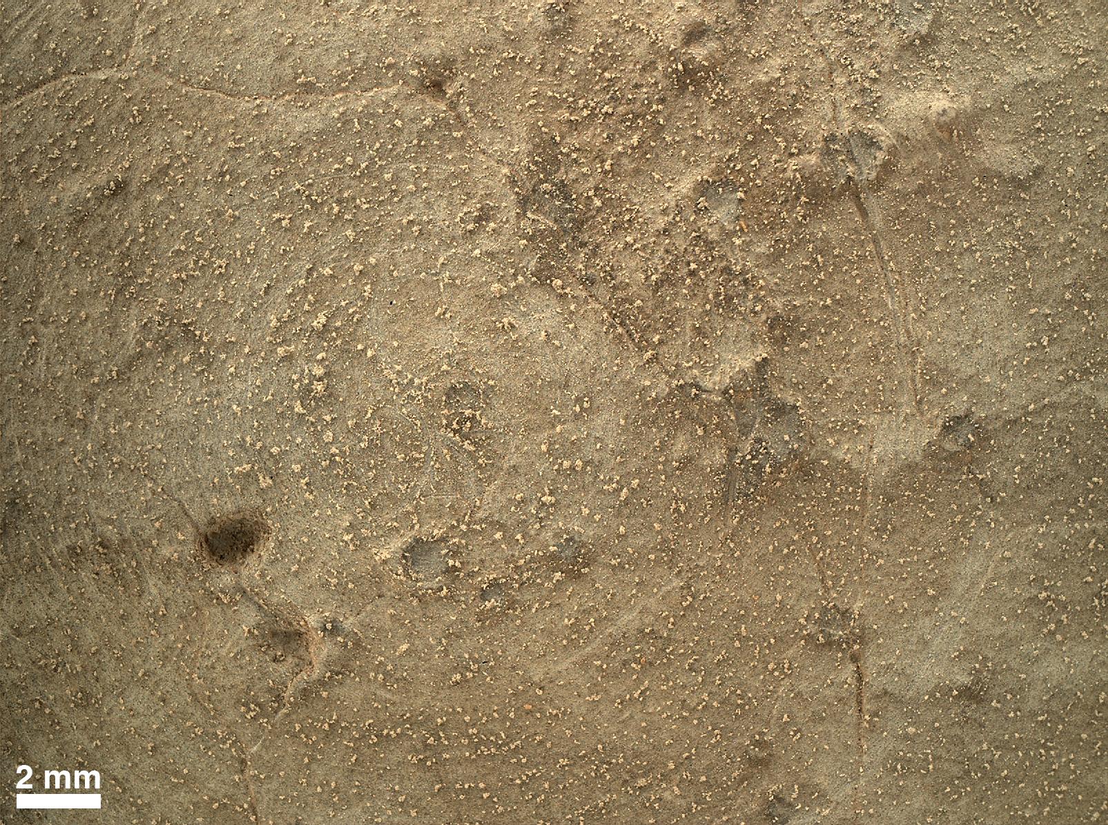 Martian Rock Brushed Clean: Curiosity Close-Up