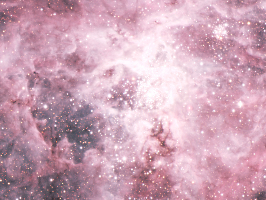 Central Area of the Tarantula Nebula