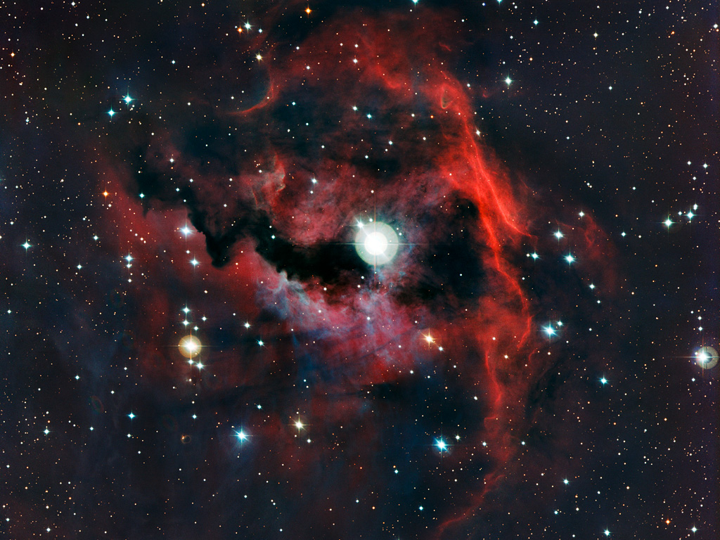 Seagull Nebula Spreads Cosmic Wings in Amazing Photos