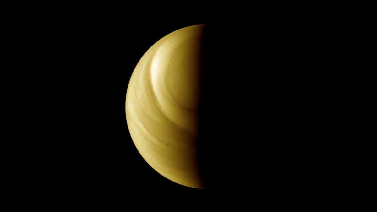 You Could Be From Venus