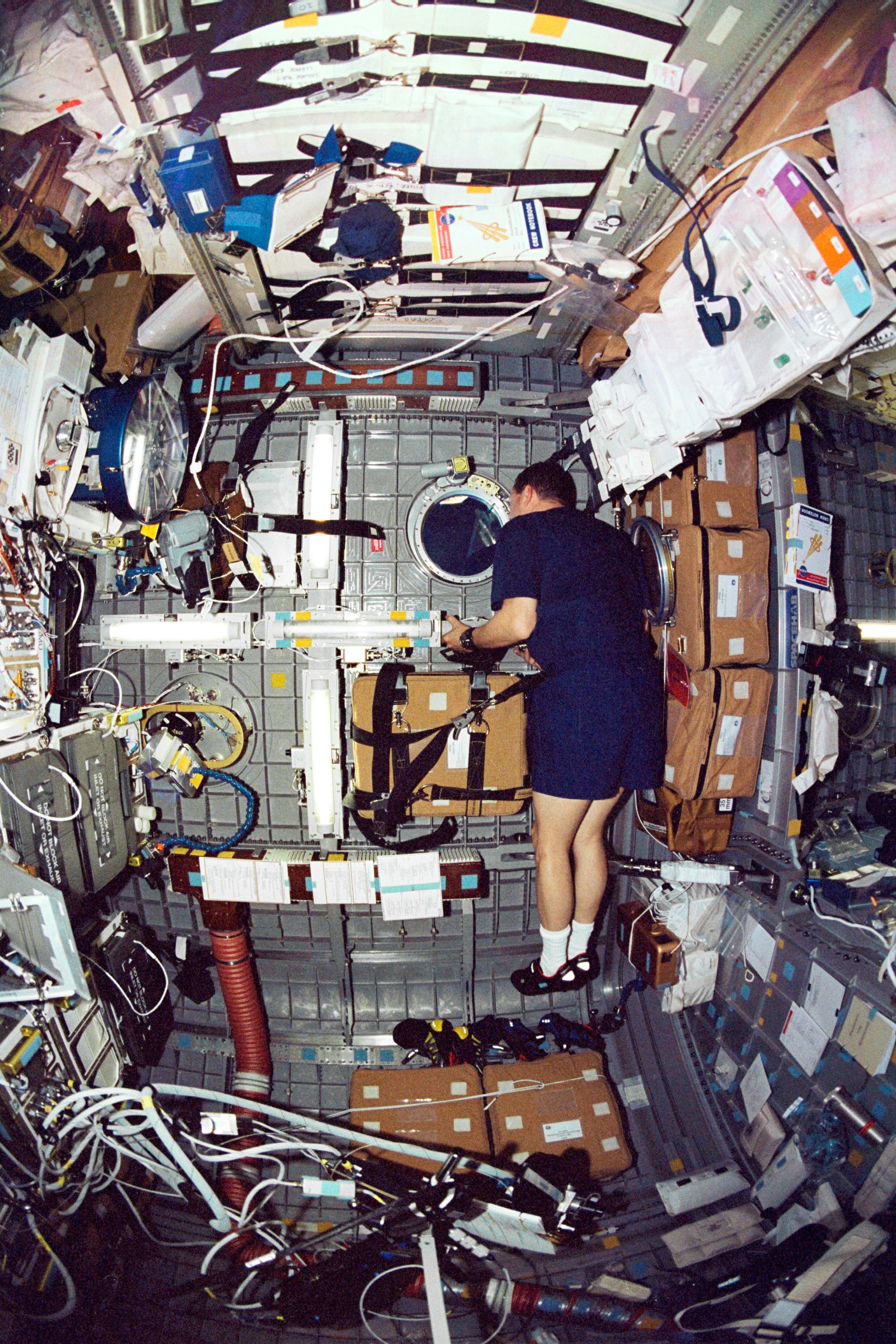 Astronaut David M. Brown, STS-107 Mission Specialist
