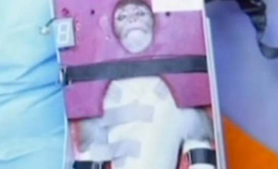 Iran's Space-Traveling Monkey