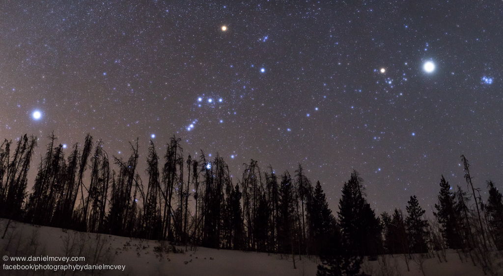 Stopping by Woods on a Starry Evening