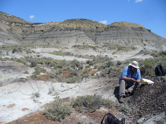 Geochronologist Paul Renne collects a volcanic ash sample from a coal bed within a few centimeters of the dinosaur extinction horizon. A study by Renne and colleagues confirmed the link between the Chicxulub asteroid impact and dinosaur extinction 65 million years ago. Image released Feb. 7, 2013.