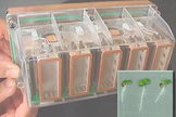 The Experiment Container with Plant Seedling Seed Cassettes (seedlings, inset lower right) is an example of the samples returning aboard the SpaceX Dragon vehicle for ground analysis.