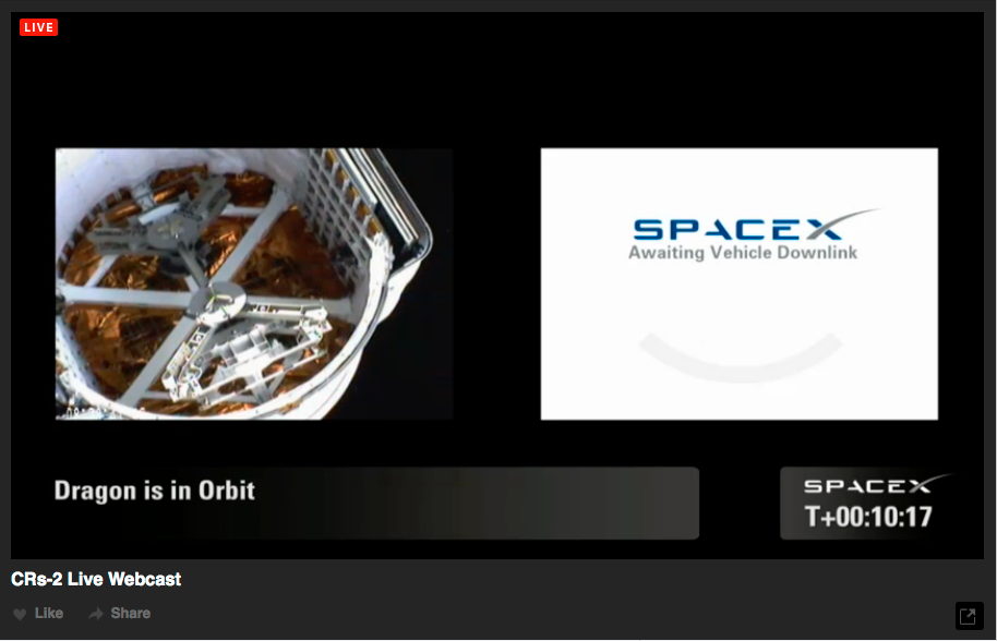 Dragon Capsule in Orbit