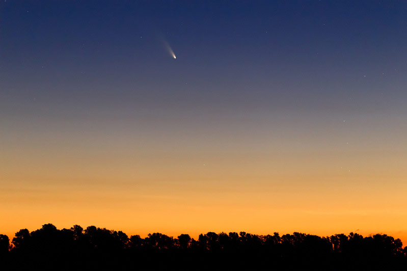 Comet Pan-STARRS Seen in Buenos Aires #2
