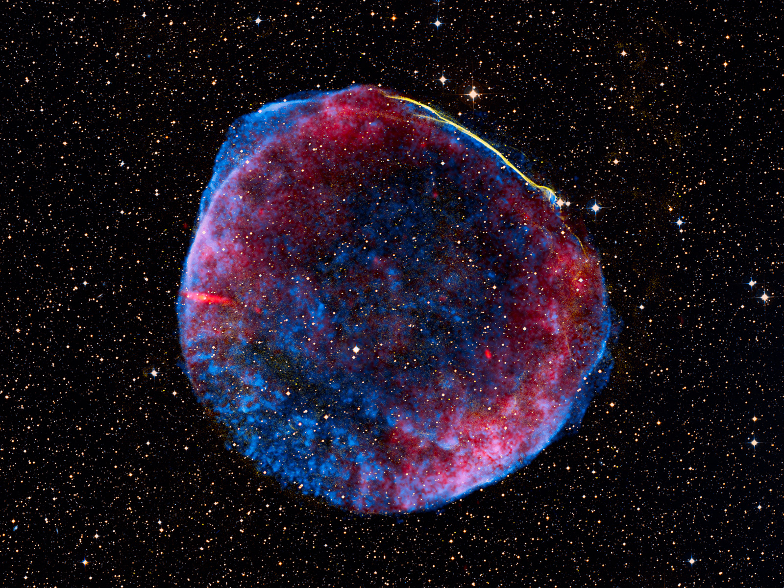 Remnant of Supernova Seen at Many Different Wavelengths 1600