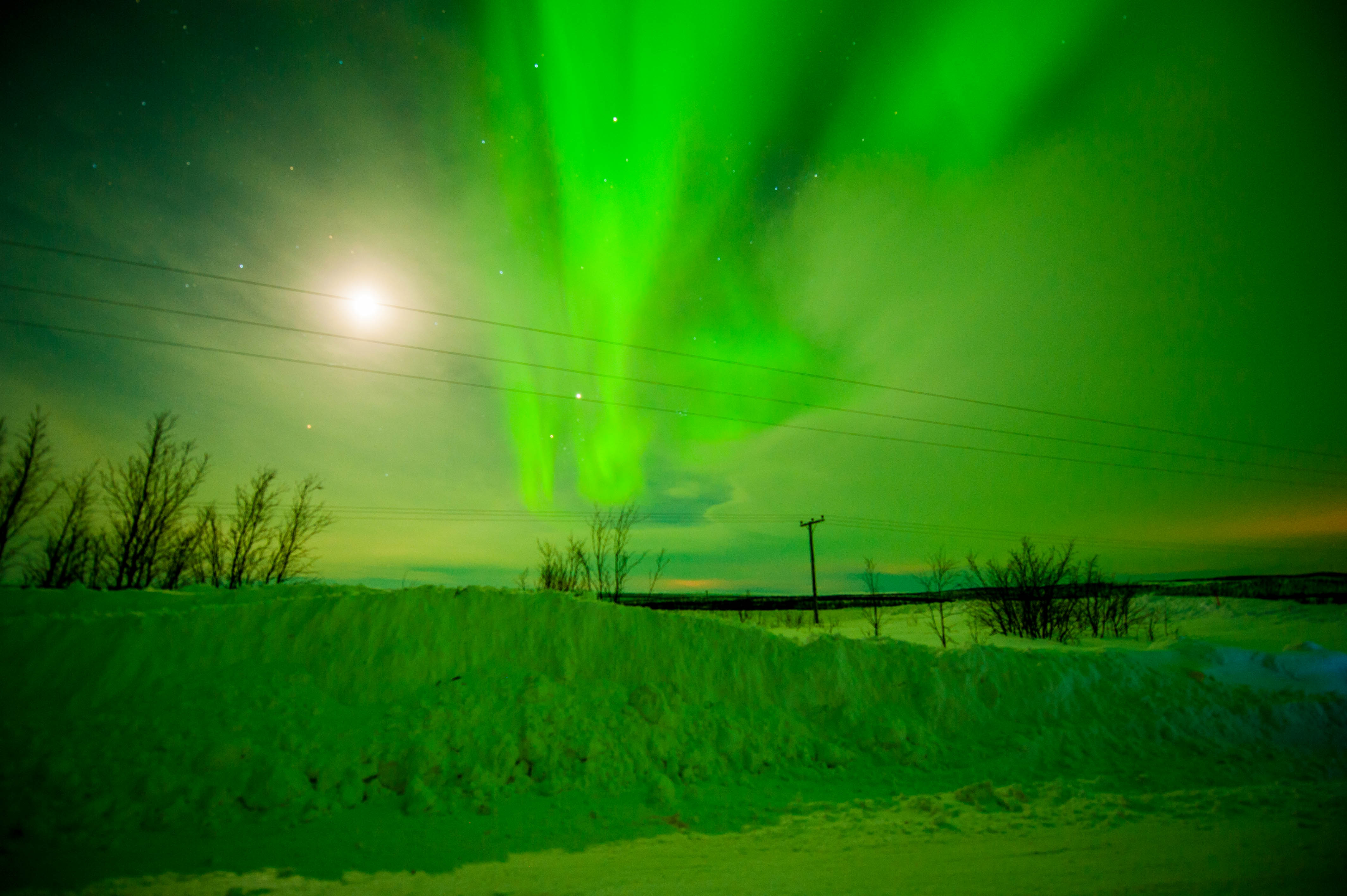 Aurora Over Alta, Norway #8