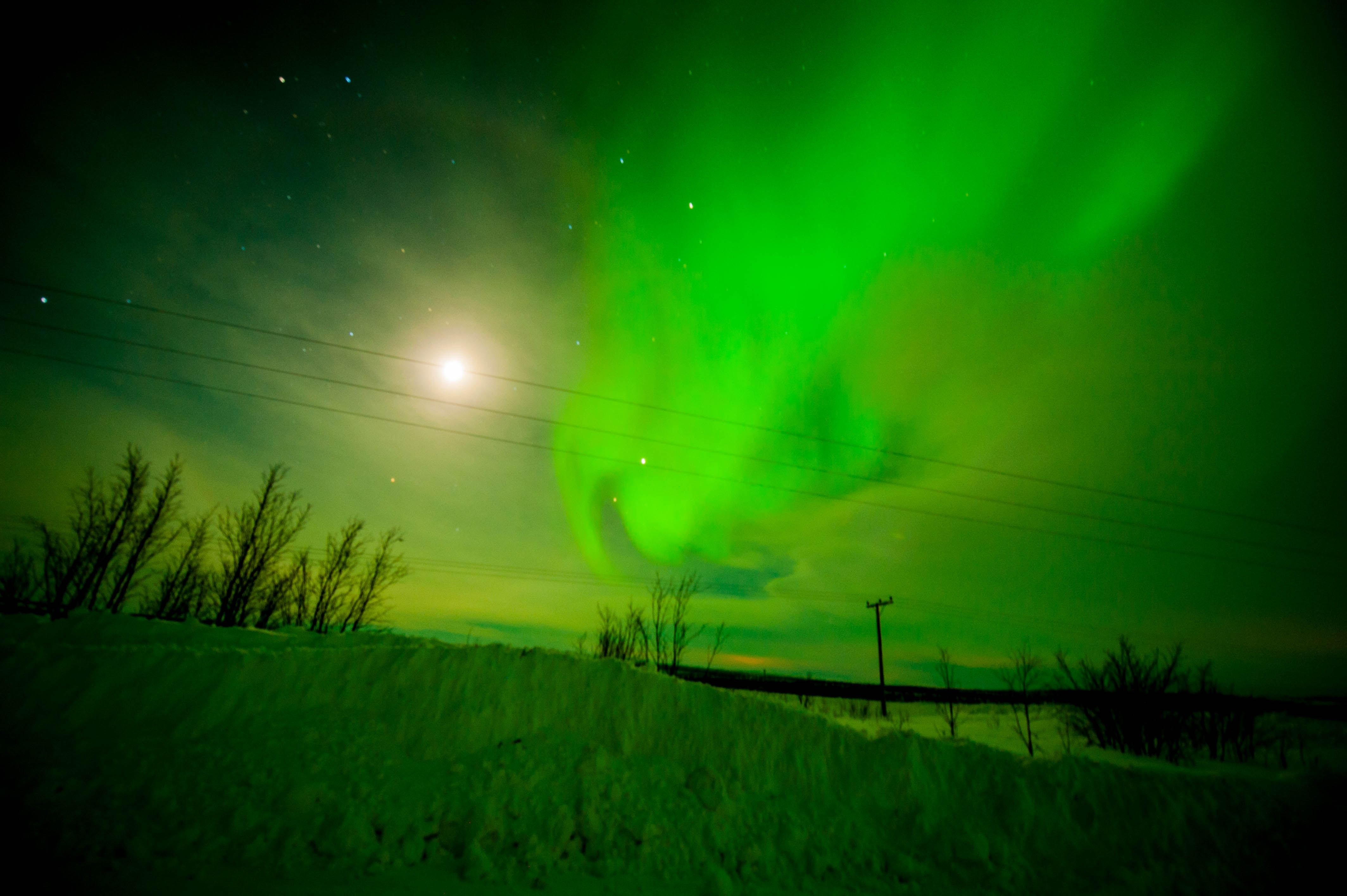 Aurora Over Alta, Norway #9