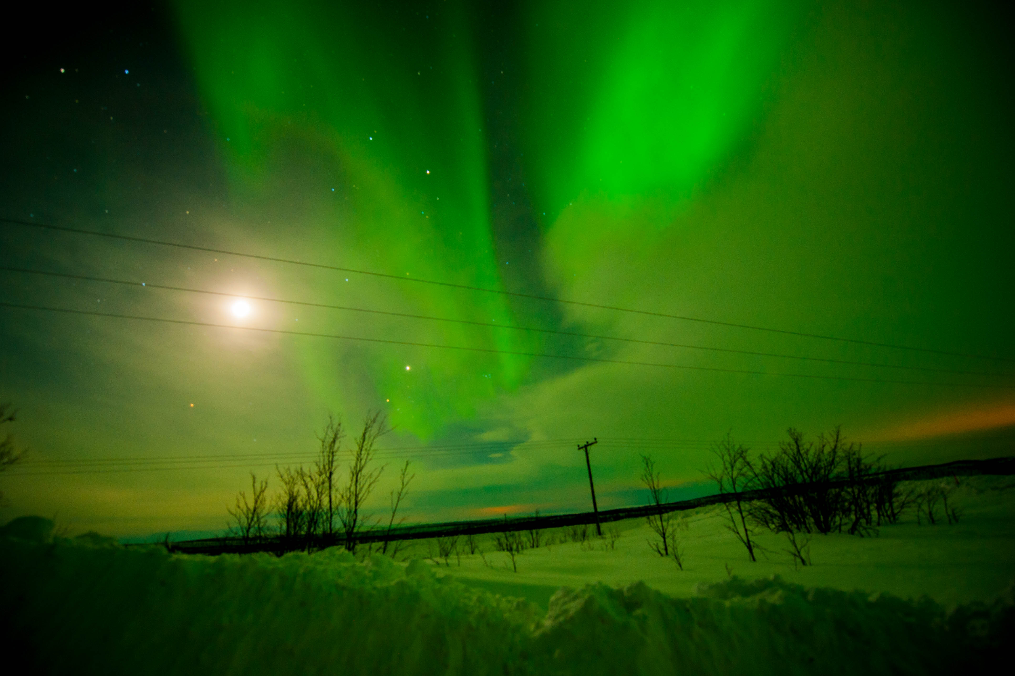 Aurora Over Alta, Norway #11