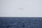 Spacex-dragon-capsule-parachutes