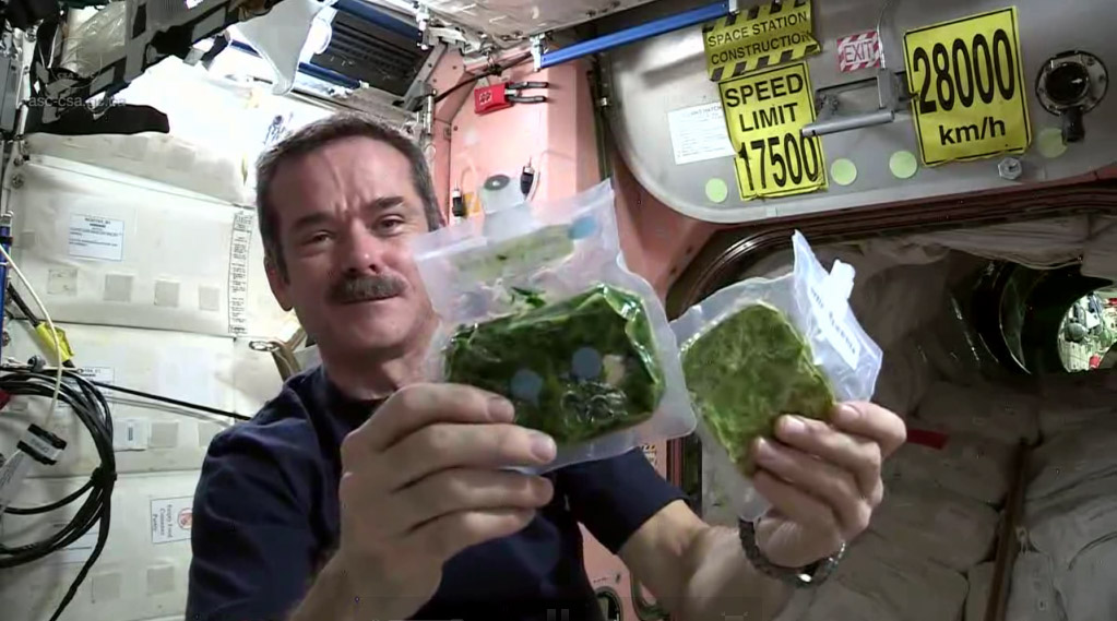 Life in Space: Astronaut Chris Hadfield's Video Guide